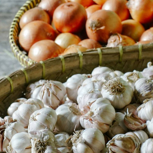 Врач оценил способность лука и чеснока бороться с простудой